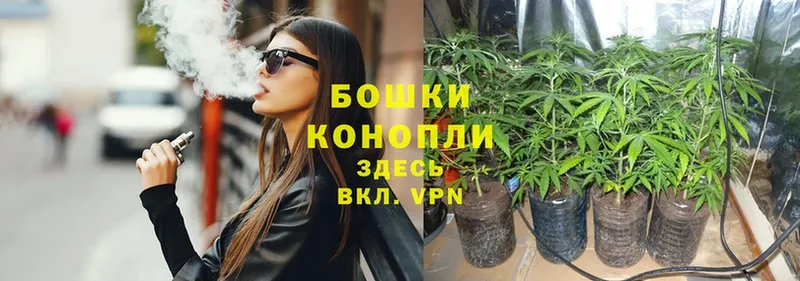 закладка  Воркута  Бошки Шишки SATIVA & INDICA 